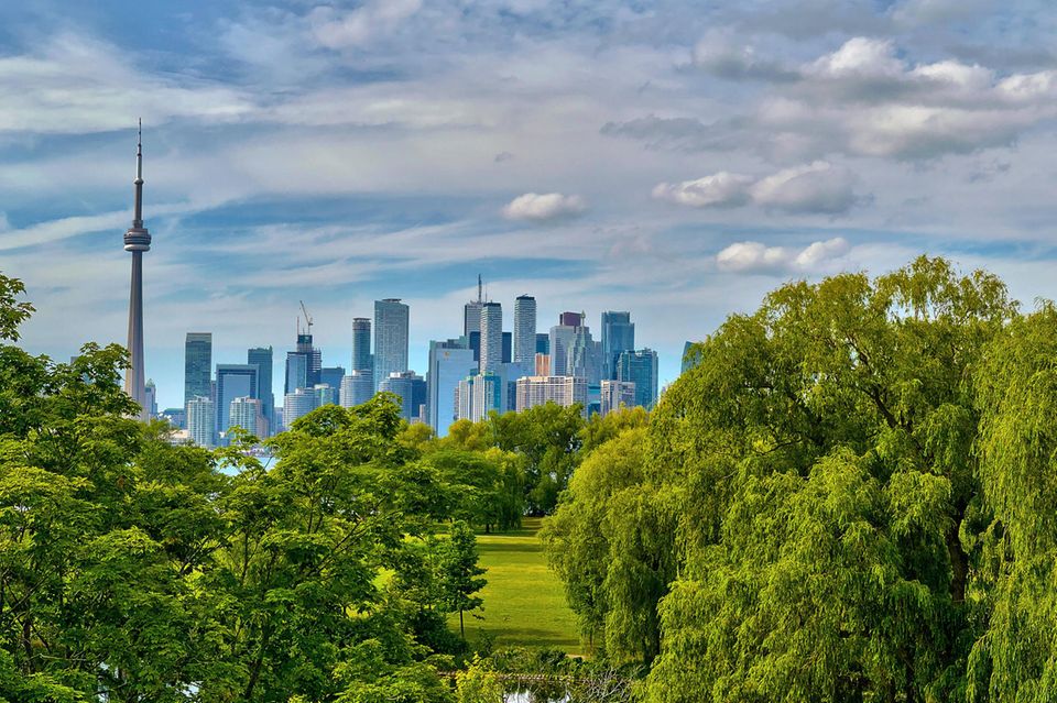 Die Skyline von Toronto mit einem Wald im Vordergrund