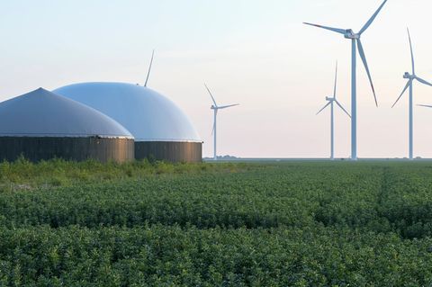 Noch sind die Mengen an Biogas, die produziert werden dürfen, gedeckelt – das könnte sich jetzt ändern