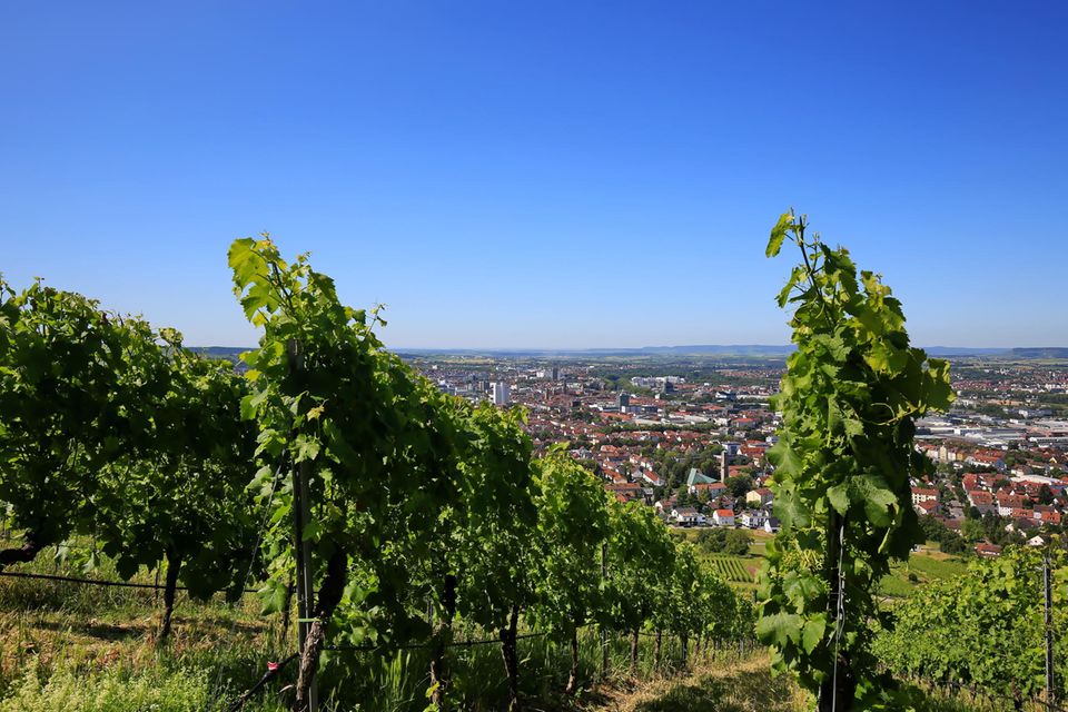 Mit deutlichem Vorsprung auf Platz drei kam Baden-Württemberg. Hier zählten die Statistiker 7,6 Einkommensmillionäre je 10.000 Steuerzahlern (0,76 Promille). Bundesweit zahlten rund 112.400 Steuerpflichtige den höchsten Steuersatz von 45 Prozent. Er kam im Jahr der Statistik ab 260.533 Euro Jahreseinkommen zum Tragen. Auf die Entrichter des sogenannten Reichensteuersatzes entfielen den Angaben zufolge 6,6 Prozent der gesamten Einkünfte und 13,4 Prozent der Steuersumme.