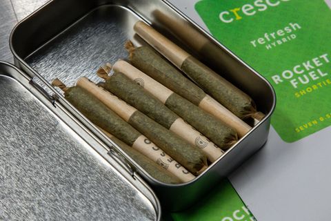 Marihuana-Joints von Cresco
