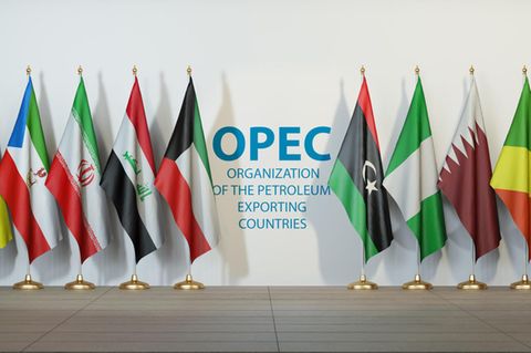 Fahnen der Opec-Staaten am Sitz in Wien