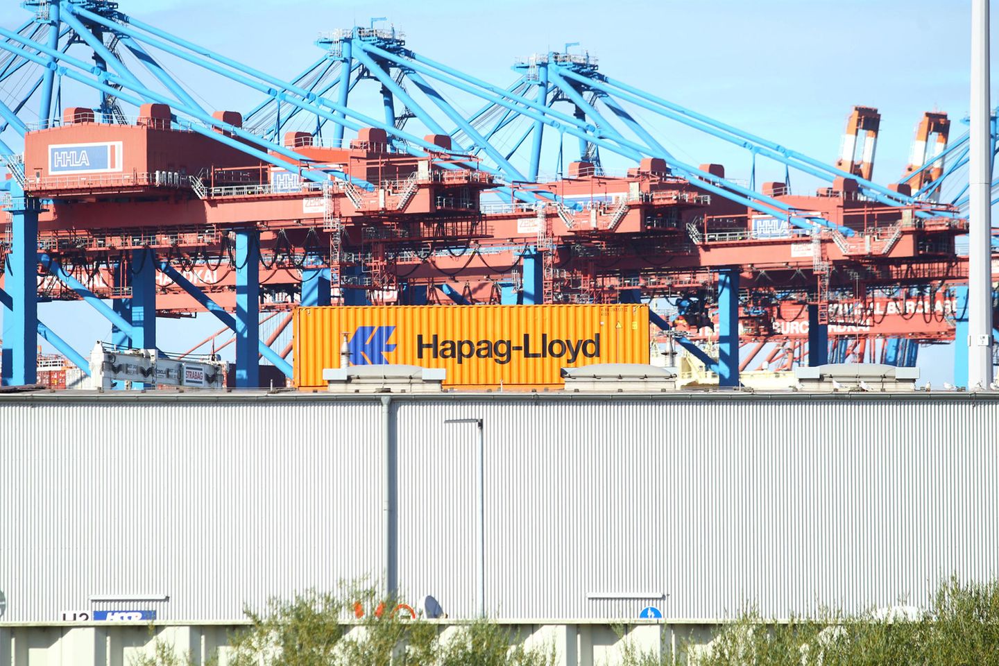 Hapag-Lloyd-Container in Hamburg: Aktienpapiere des Unternehmens kosteten Mitte des Jahres noch 450 Euro – heute liegt der Kurs bei nicht einmal 190 Euro