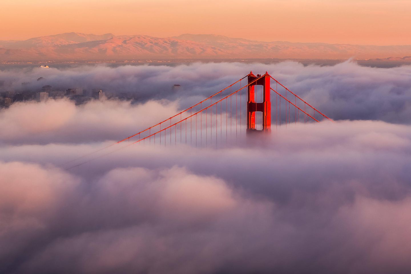 Golden Gate Bridge in San Francisco: Die kalifornische Metropole ist weiter begehrt. Doch viele Menschen ziehen freiwillig ins Umland