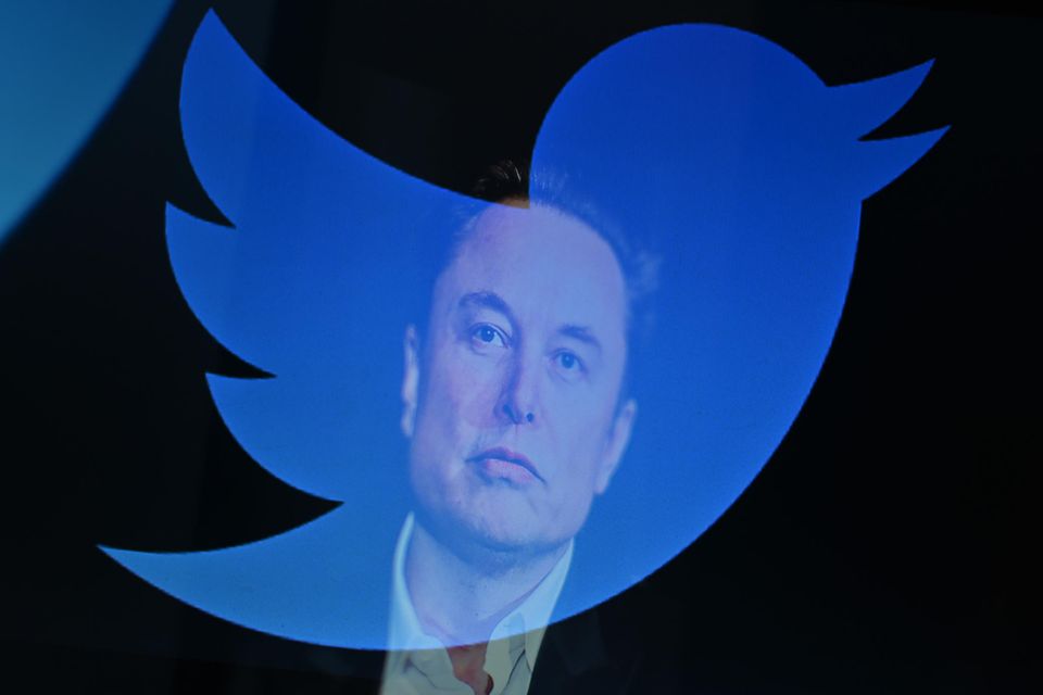 Elon Musk will als Twitter-Chef zurücktreten