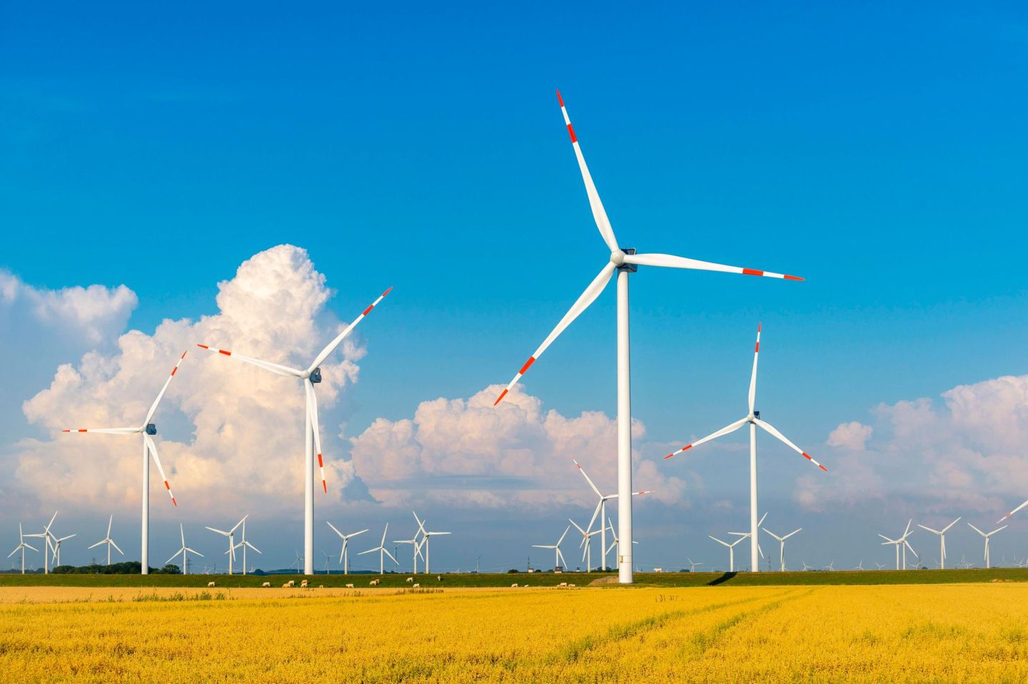 Bei viel Wind und geringer Energienachfrage fällt der Strompreise an der Börse, Windkraftanlagen in Nordfriesland