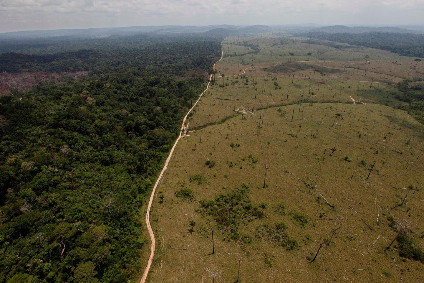 Eine abgeholzte Tropenwaldfläche im Jahr 2011 im Bundesstaat Para im Norden von Brasilien.