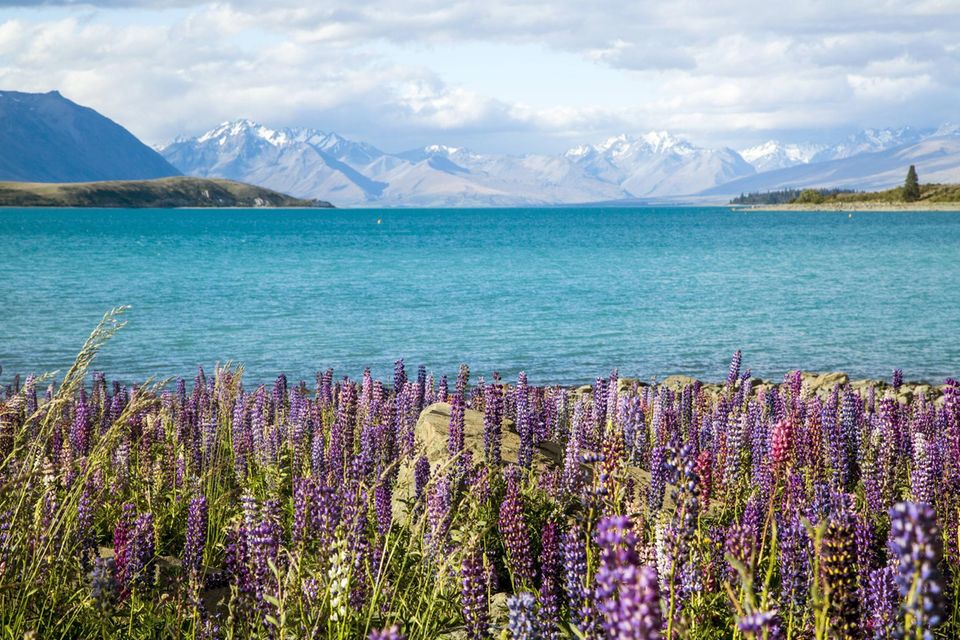 Laut dem IEP geht es weltweit in nur einem Staat friedfertiger zu als in Neuseeland. Es erhielt die schlechteste Note im Peace Index bei der terroristischen Aktivität (2,5). In fünf der 23 Einzelkategorien wurden Verbesserungen festgestellt, darunter bei den Militärausgaben sowie dem Arsenal an schweren und nuklearen Waffen.