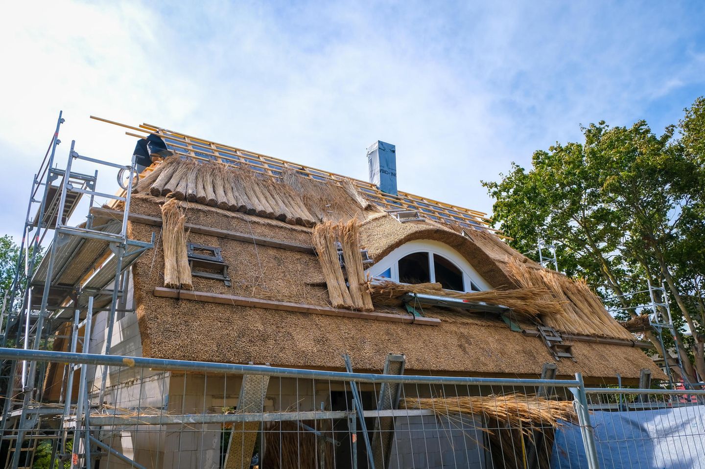 Ein Hausdach wird neu mit Reet, also Schilfrohr, eingedeckt.