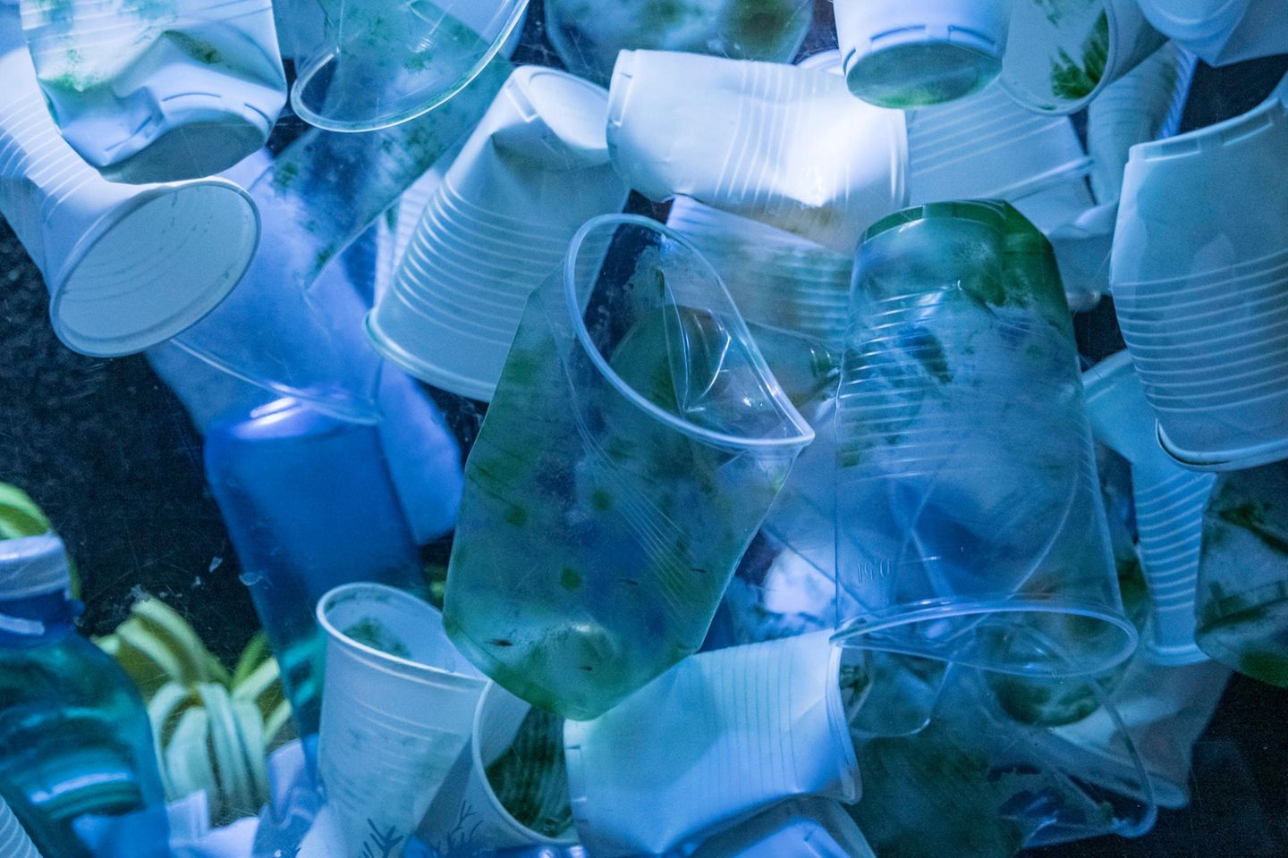 Becken mit Plastikmüll im Berliner Aquarium