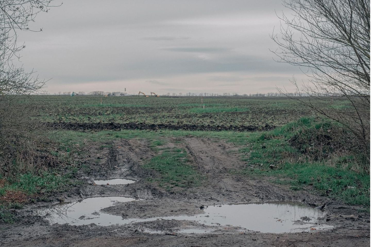 Blick auf ein Feld auf dem Intels Chipfabrik gebaut werden soll