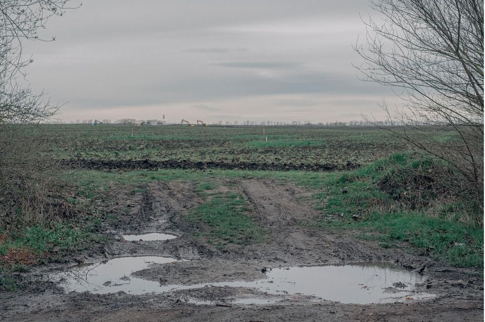 Blick auf ein Feld auf dem Intels Chipfabrik gebaut werden soll