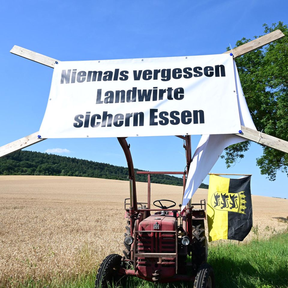guano dünger rossmann 420Flow Guano Dünger – Organischer NPK-Pulverdünger für Cannabis main image 1