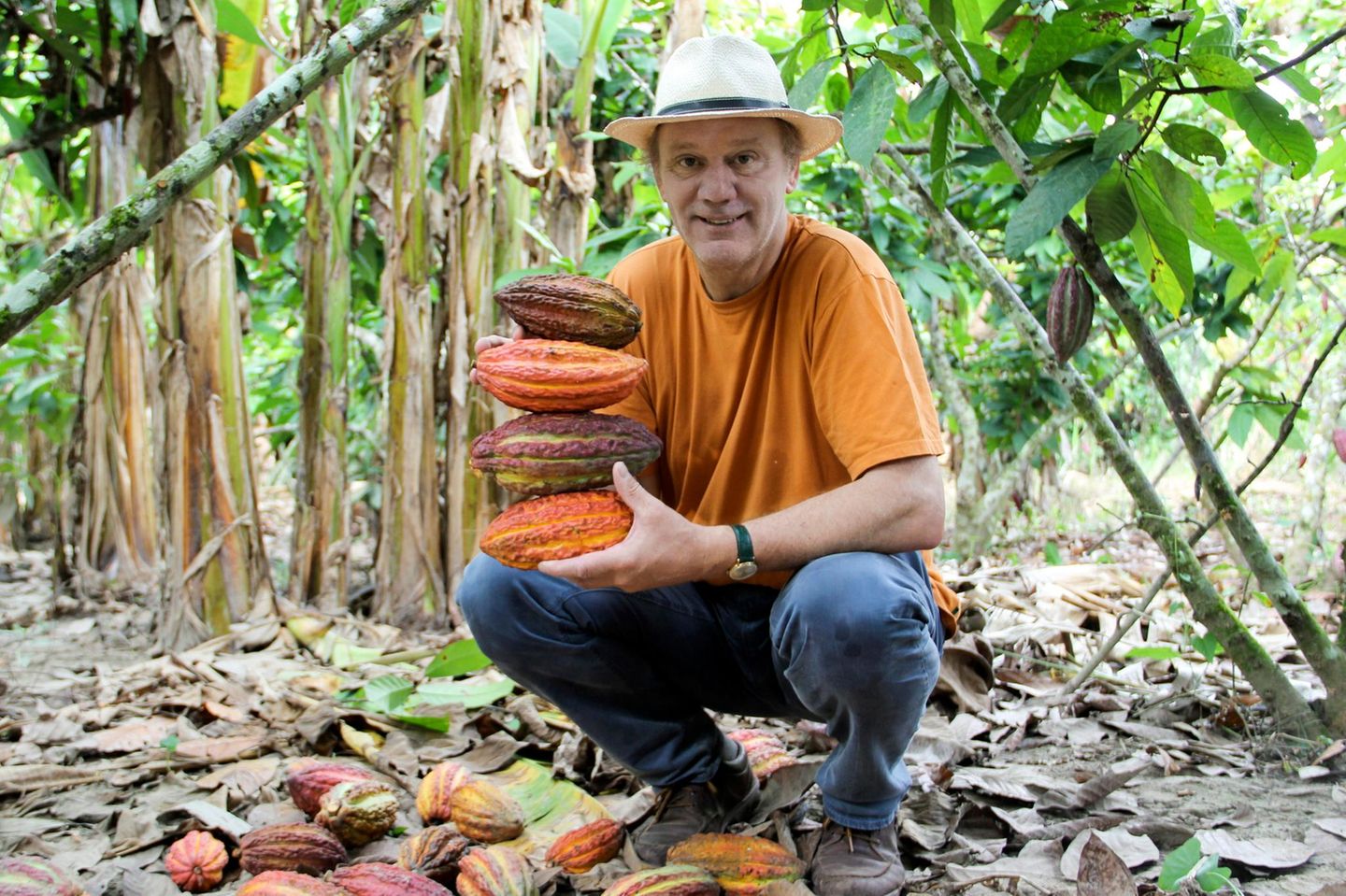 Josef Zotter kniet und hat Kakaobohnen in der Hand