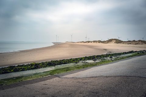 Windräder im Nationalpark Oosterschelde. Die Niederlande sind bei Energiefragen mutiger als Deutschland