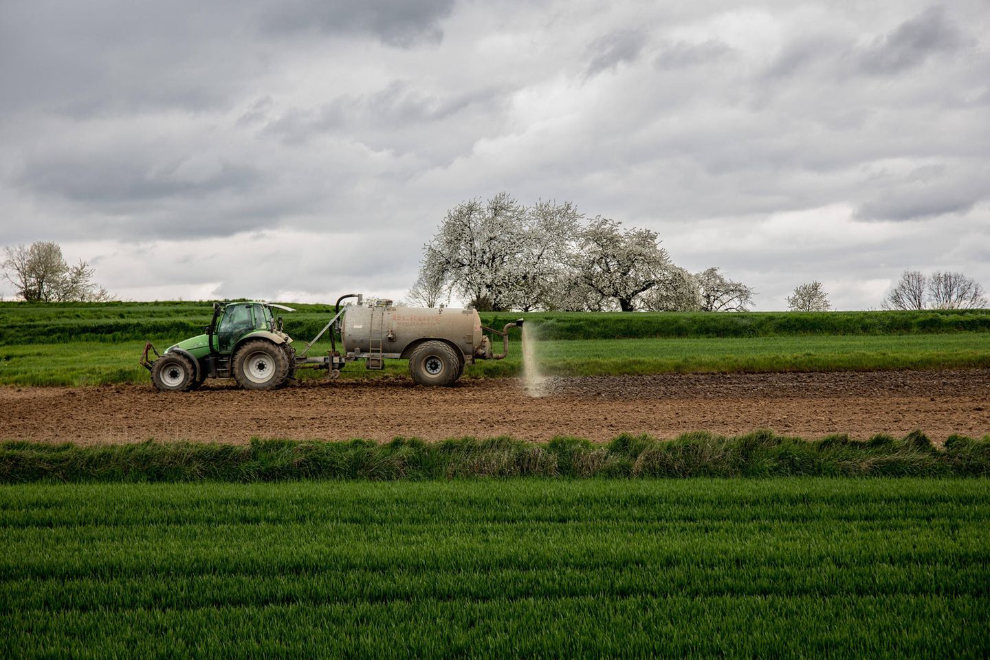 Ein Landwirt bringt mit dem Traktor Dünger auf dem Feld aus