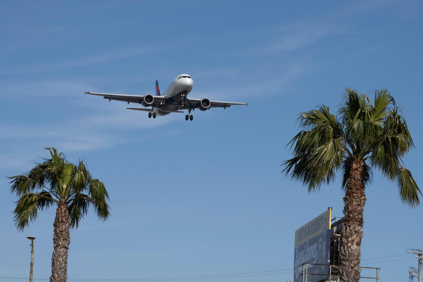 Flugzeug im Landeanflug über Palmen