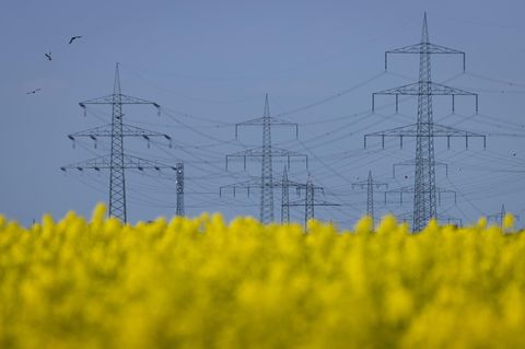 Strommasten einer Stromtrasse bei Frankfurt