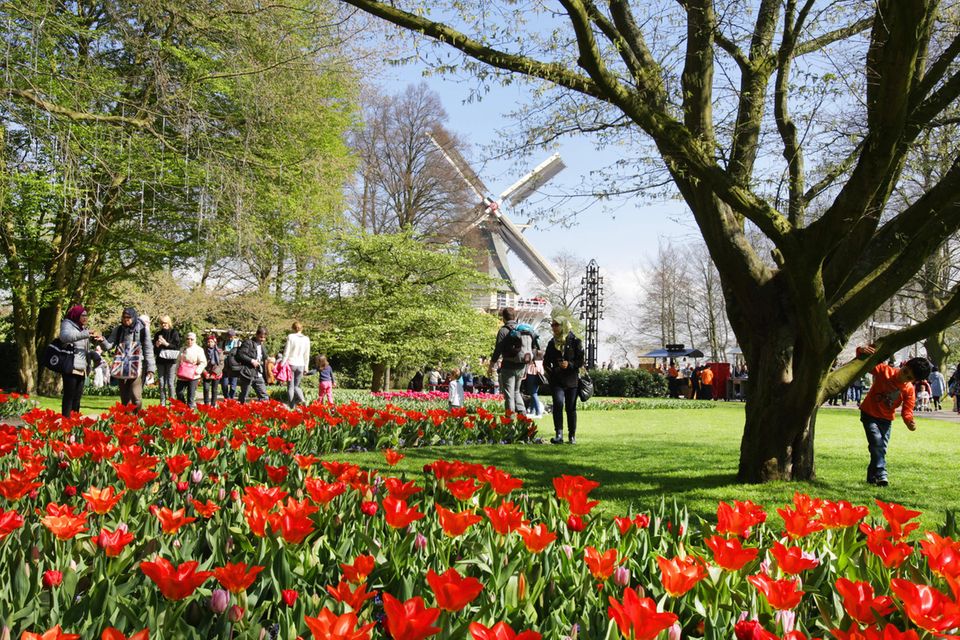 Die Niederlande behaupteten Platz fünf aus dem Vorjahr.