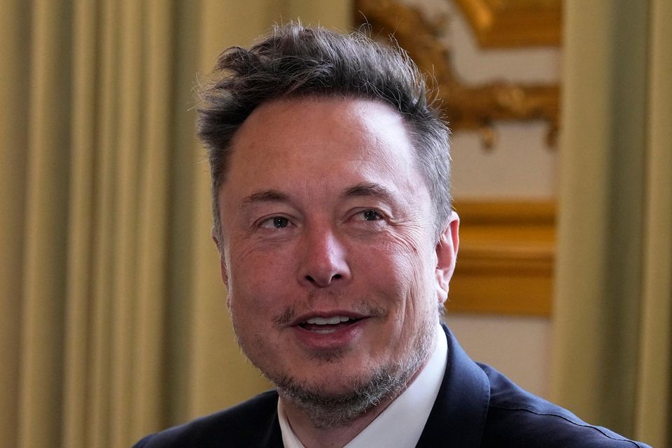 Twitter-Eigentümer Elon Musk