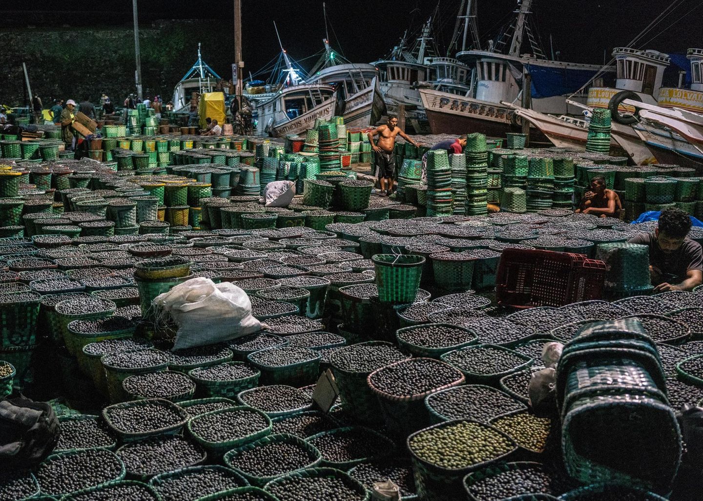 Tonnen voller schwarzer Beeren im Hintergrund die Schiffe am Hafen in der Nacht