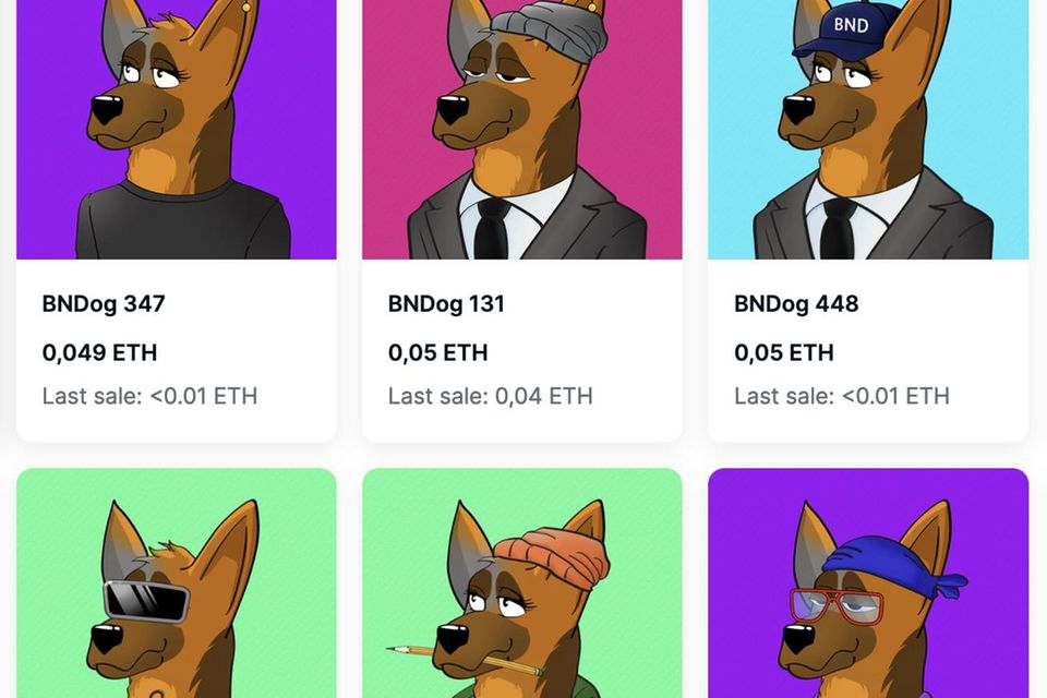 Über den NFT-Marktplatz OpenSea bot der BND NFTs in Hundeform an. Einige Erstkäufer verkaufen sie inzwischen teurer weiter