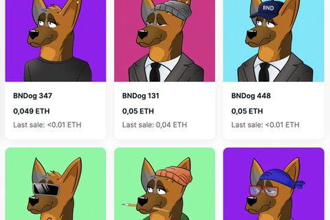 Über den NFT-Marktplatz OpenSea bot der BND NFTs in Hundeform an. Einige Erstkäufer verkaufen sie inzwischen teurer weiter