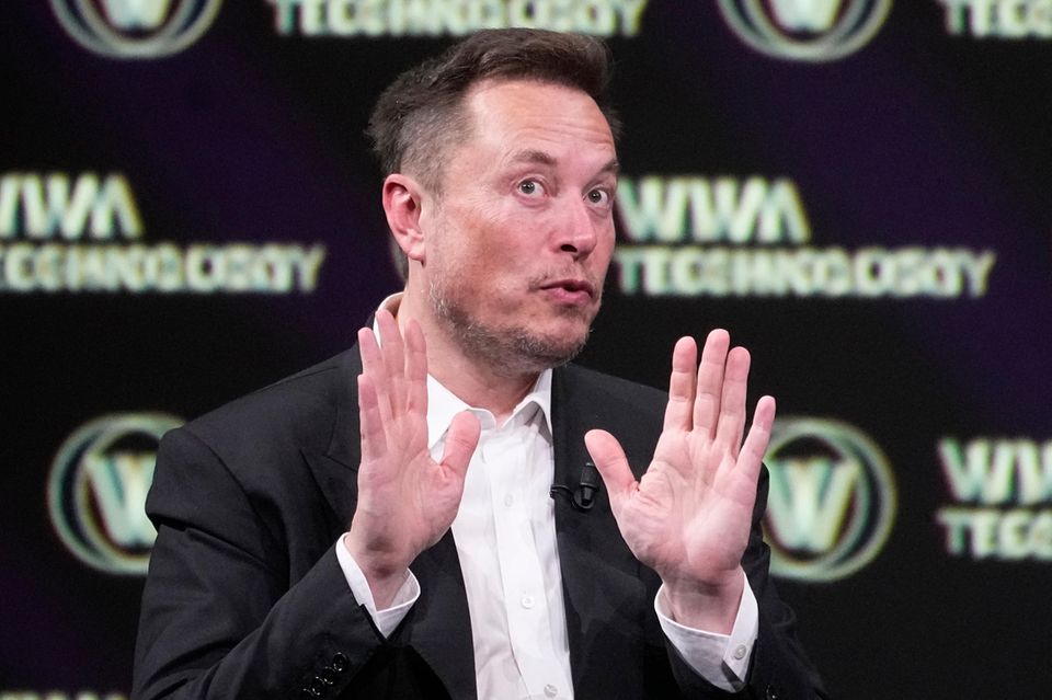 Tesla-CEO Elon Musk
