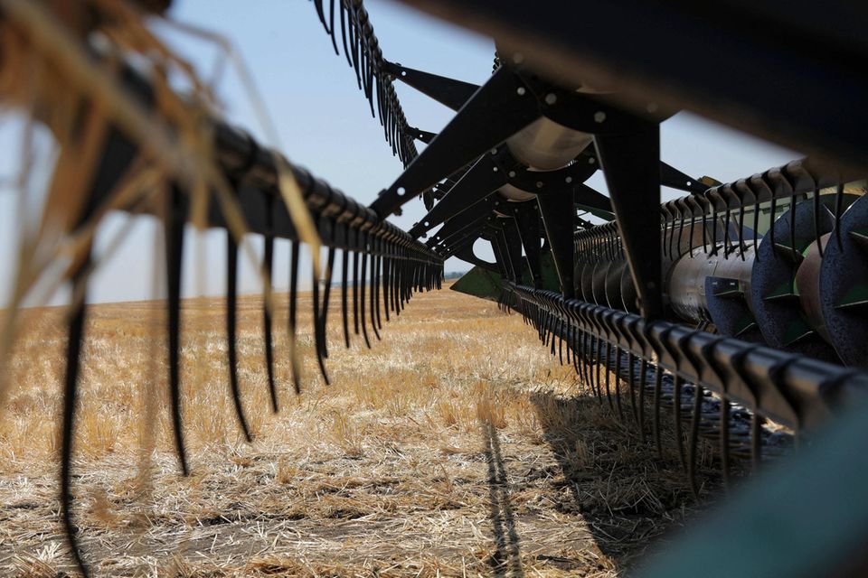 Weizenernte in der Ukraine. Bislang kann das Land, das als „Kornkammer der Welt“ gilt, noch durch ein Sonderabkommen in die Welt verschiffen