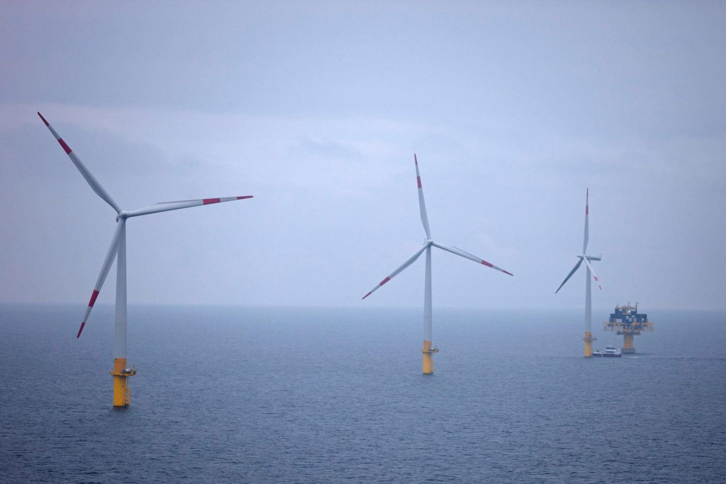 Offshore Windpark Baltic 1 in der Ostsee