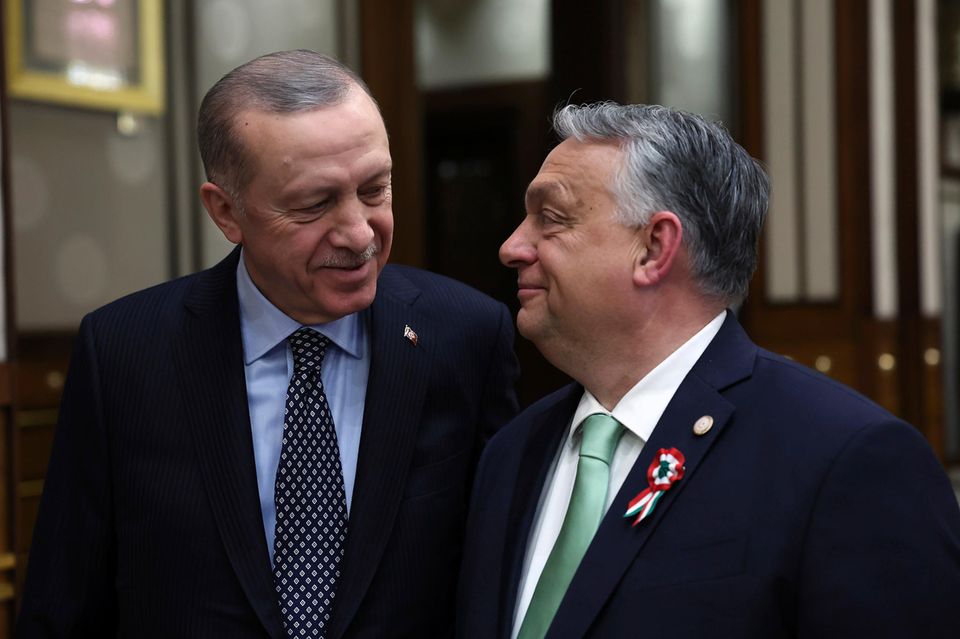 Der türkische Präsident Erdogan und Ungarns Regierungschef Orban lächeln sich an