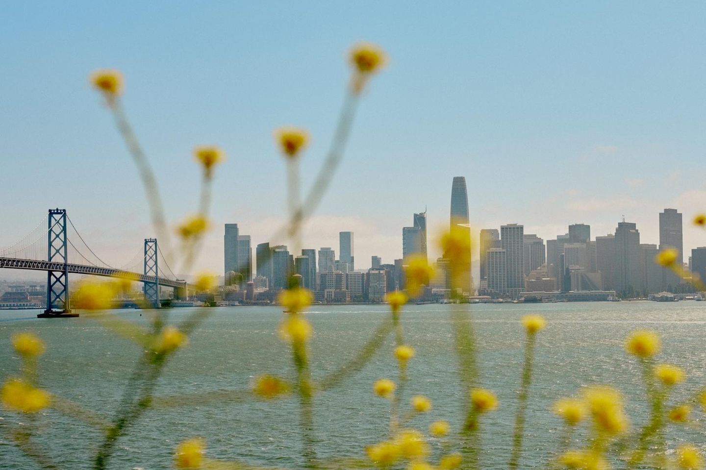 Blick auf die Skyline von San Francisco
