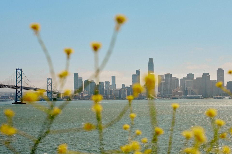 Blick auf die Skyline von San Francisco
