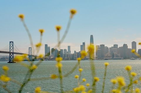 Blick auf die Skyline von San Francisco