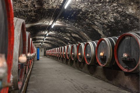 Weinfässer im Weinkeller im Kloster Marienthal