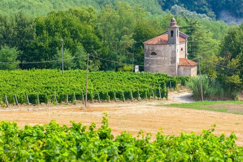 Weingut im Languedoc