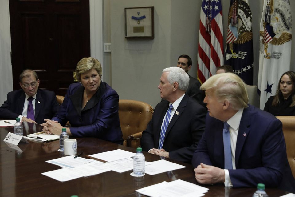 Gail Boudreaux ist seit November 2017 Präsidentin und Chief Executive Officer des US-Gesundheitsunternehmens Elevance Health. Seit drei Jahrzehnten prägt sie den amerikanischen Gesundheitssektor als CEO von Konzernen wie dem Versicherer United Healthcare. Sie ist Inhaberin des Billie Jean King Leadership Awards und war während der Coronapandemie wichtige Gesprächspartnerin des damaligen US-Präsidenten Donald Trump.