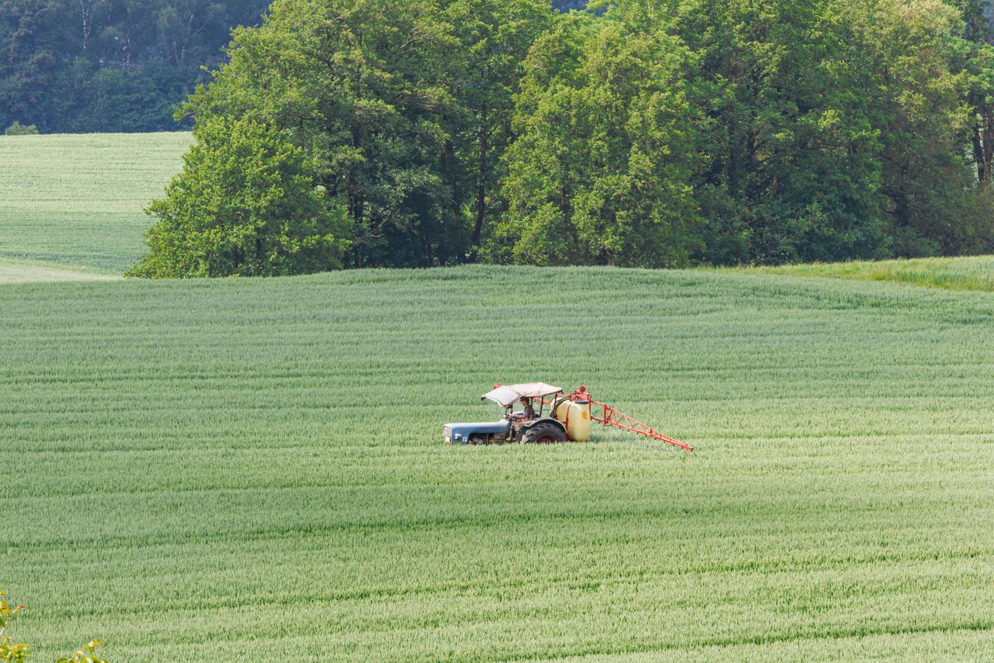 Einsatz von Pflanzenschutzmittel auf einem bayerischen Getreidefeld