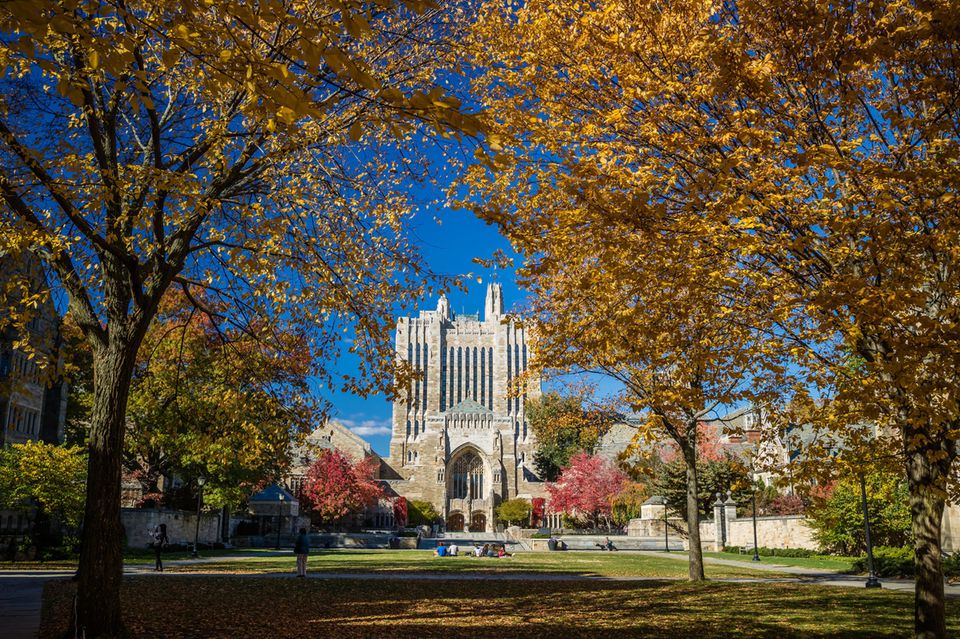 Etwas positiver als das Urteil über die Hochschule allgemein, fiel das Urteil der Experten bei den Wirtschaftswissenschaften in Yale aus. Die Fakultät wurde erneut zur neuntbesten der Welt gekürt. Im Gesamt-Ranking stieg die US-Elite-Hochschule hingegen vom neunten auf den zehnten Platz ab. Ein Pluspunkt war das niedrigste Zahlenverhältnis von Studierenden zu Lehrkräften den Top 10 (5,2:1). Dahinter steckte aber auch eine deutlich niedrigere Zahl von Vollzeit-Studierenden in Yale (13.482 auf 11.924).