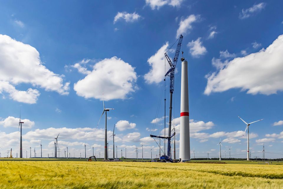 Park mit Windrädern auf einem Rapsfeld