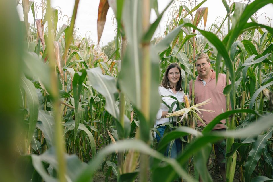 Christina und Christoph stehen in einem Maisfeld