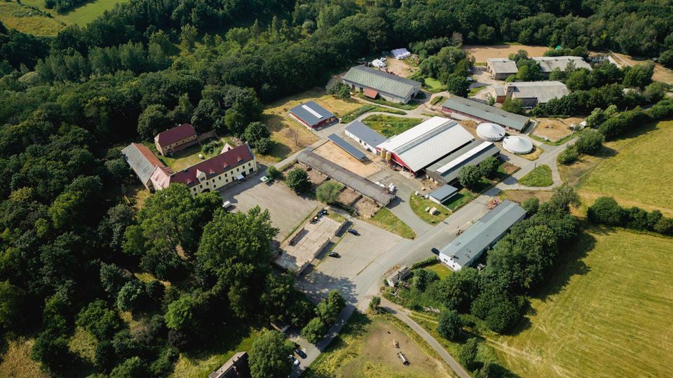 Peter Fitzek wollte 2023 das Kanzleilehngut Halsbrücke in Sachsen kaufen, scheiterte jedoch