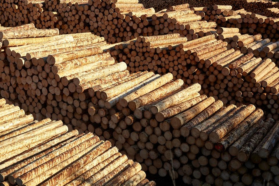Mehr als verdoppelt hatten sich zum Krisenwinter 2022/23 laut Destatis die Kosten für feste Brennstoffe wie Holz und Pellets. Bei ihnen war zuletzt ebenfalls ein Preisrückgang zu verzeichnen. Er lag im September 2023 verglichen mit dem Vorjahresmonat bei 18,1 Prozent.