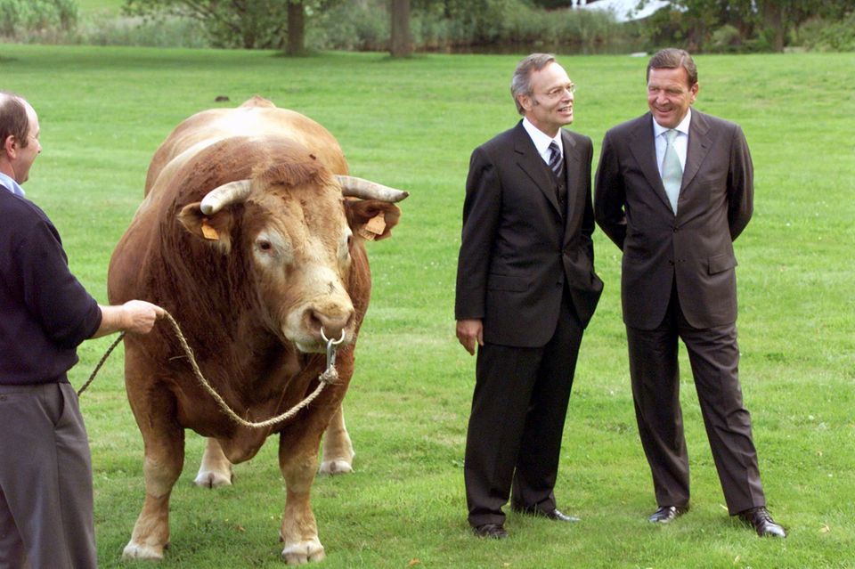 1999 traf Fielmann auf seinem Anwesen Gut Schierensee in Schleswig-Holstein Gerhard Schröder – zusammen mit einem 1,5 Tonnen schweren französischen Bullen aus seiner neuen Züchtung