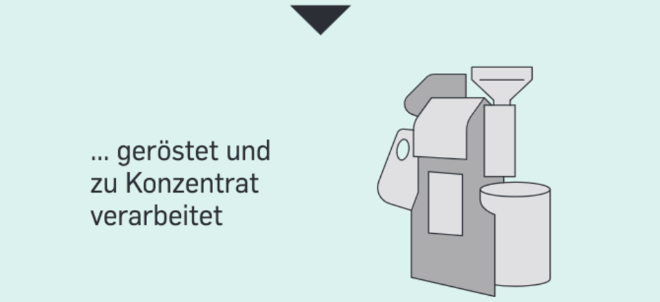 Grüne Revolution: Ohne Kakao: Zwei Geschwister haben eine Schoko-Alternative entwickelt