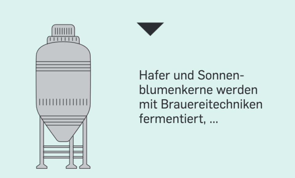 Grüne Revolution: Ohne Kakao: Zwei Geschwister haben eine Schoko-Alternative entwickelt