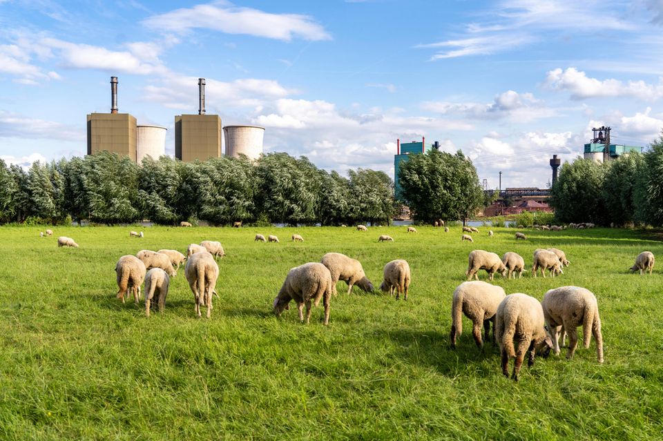 Gaskraftwerk Duisburg-Huckingen, betrieben von RWE, auf dem Gelände der Hüttenwerke Krupp Mannesmann. 