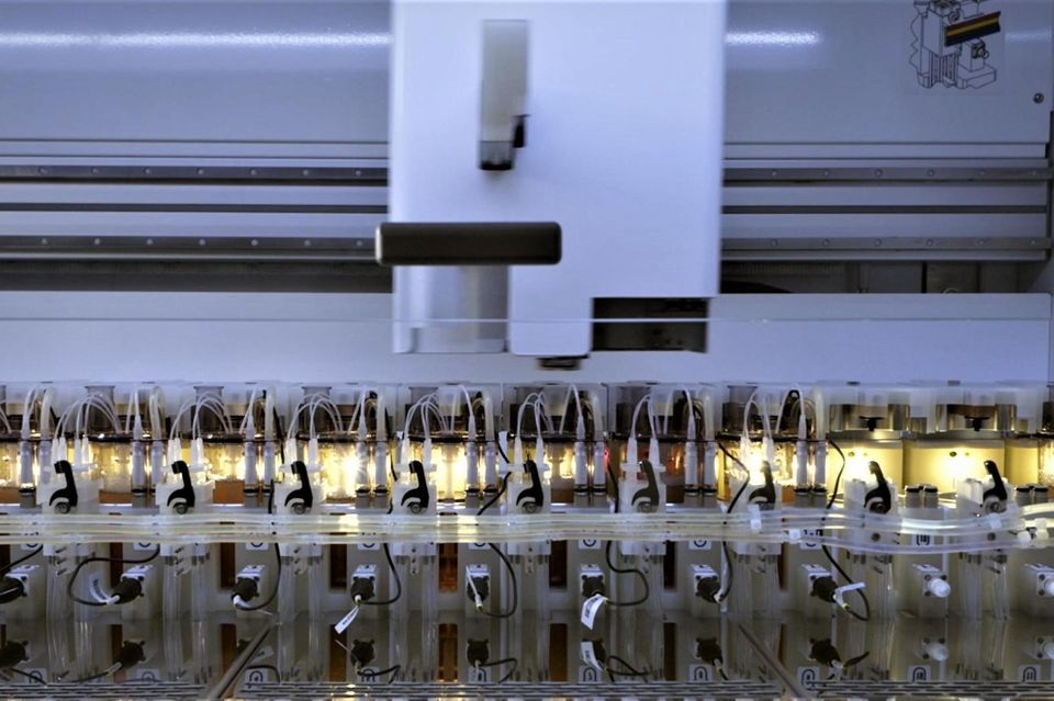 Die Entwicklung eines neuen Medikaments ist langwierig