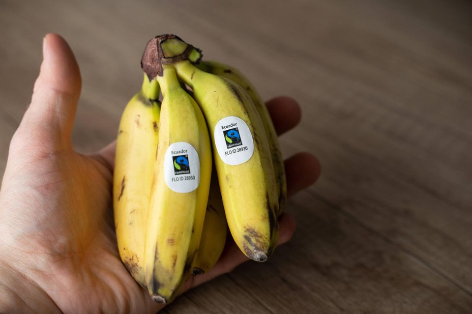 Lieferketten: Fairtrade: Billige Scheinlösung oder viele kleine Schritte, die wirken?