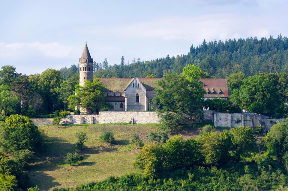Die Gemeinde mit der mit Abstand höchsten Grundsteuer in Deutschland war laut EY 2022 Lorch in Hessen. Die Stadt im Rheingau lässt sich Grundstücke teuer bezahlen. Der durchschnittliche Hebesatz belief sich dem Ranking zufolge auf 1050 Prozent. 