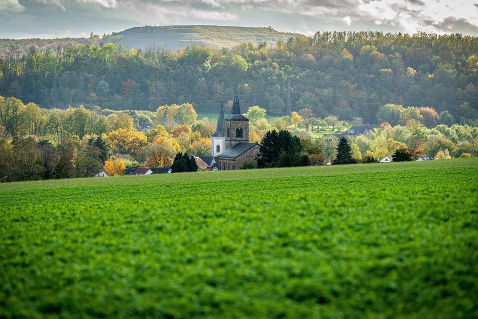 Die Nummer sieben ist mit Blick auf den Standort einer der wenigen Ausreißer des Rankings. Dafür sorgten auch die gigantischen Ausmaße des Luxusanwesens im Landkreis Mettmann vor den Toren Düsseldorfs (im Bild der Wülfrath im Kreis Mettmann). Die Käufer versprachen 1690 Quadratmeter Wohnfläche und ein 14 Hektar großes Grundstück. Dafür wurden 13,5 Mio. Euro verlangt. Geradezu winzig machte sich daneben das zweite Luxusanwesen auf Platz sieben aus. Die Stadtvilla in Berlin-Mitte bot auf gerade einmal 178 Quadratmeter Grundstück 453 Quadratmeter Wohnfläche. 